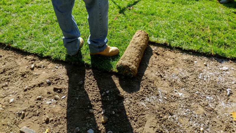 Sod Removal detail