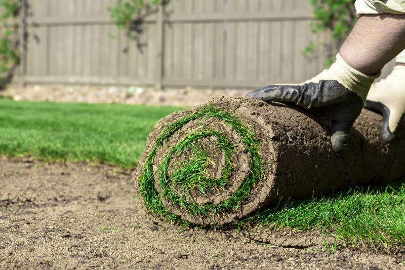 Sod Removal detail